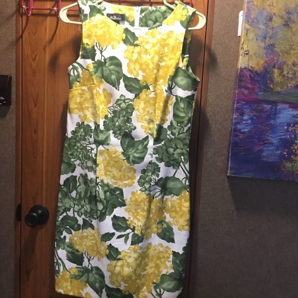 AGB Dress Brand Women’s Size 6 Sleeveless Dress
